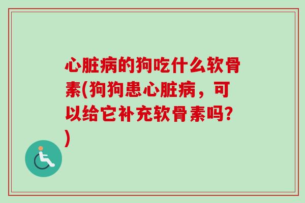 的狗吃什么软骨素(狗狗患,可以给它补充软骨素吗?) 的狗吃什么软骨素(狗狗患,可以给它补充软骨素吗?)