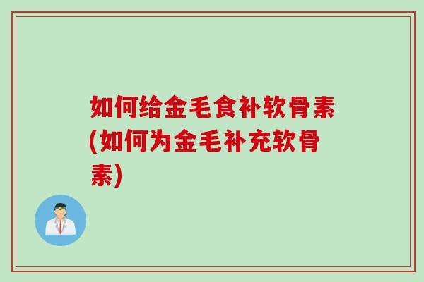 如何给金毛食补软骨素(如何为金毛补充软骨素)