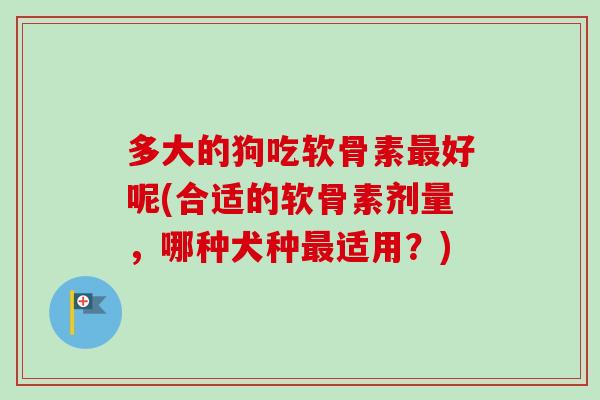 多大的狗吃软骨素最好呢(合适的软骨素剂量，哪种犬种最适用？)