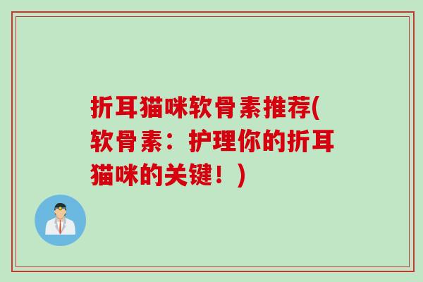 折耳猫咪软骨素推荐(软骨素：护理你的折耳猫咪的关键！)