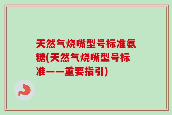 天然气烧嘴型号标准氨糖(天然气烧嘴型号标准——重要指引)