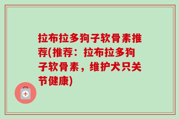 拉布拉多狗子软骨素推荐(推荐：拉布拉多狗子软骨素，维护犬只关节健康)