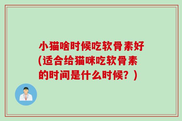小猫啥时候吃软骨素好(适合给猫咪吃软骨素的时间是什么时候？)