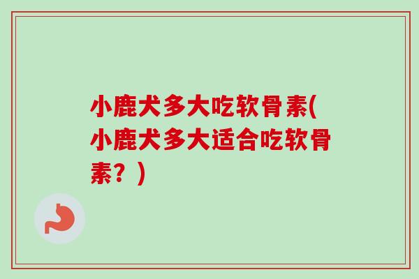 小鹿犬多大吃软骨素(小鹿犬多大适合吃软骨素？)