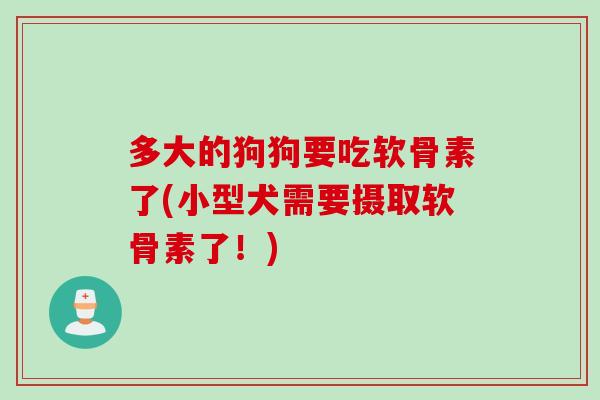 多大的狗狗要吃软骨素了(小型犬需要摄取软骨素了！)