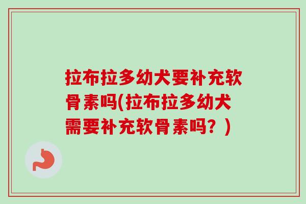 拉布拉多幼犬要补充软骨素吗(拉布拉多幼犬需要补充软骨素吗？)