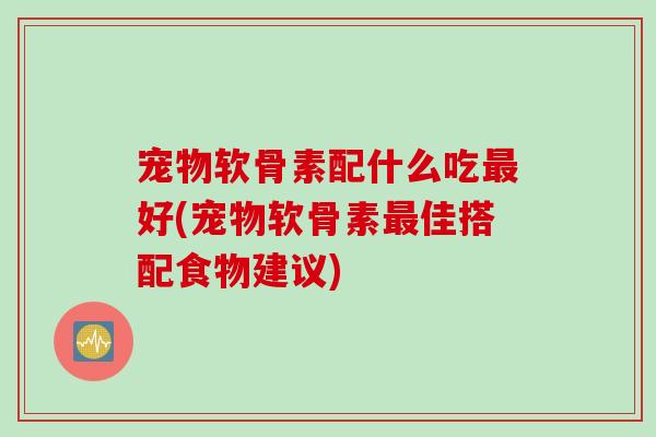 宠物软骨素配什么吃最好(宠物软骨素最佳搭配食物建议)