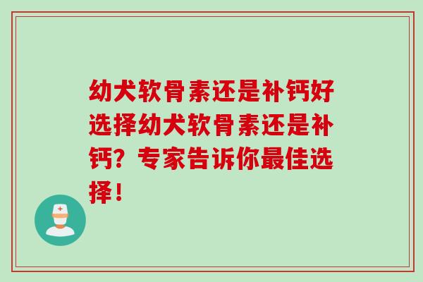 幼犬软骨素还是补钙好选择幼犬软骨素还是补钙？专家告诉你最佳选择！