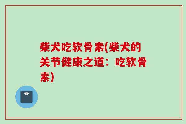 柴犬吃软骨素(柴犬的关节健康之道：吃软骨素)