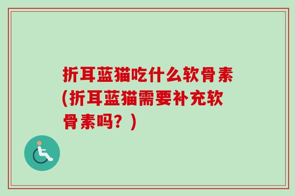 折耳蓝猫吃什么软骨素(折耳蓝猫需要补充软骨素吗？)