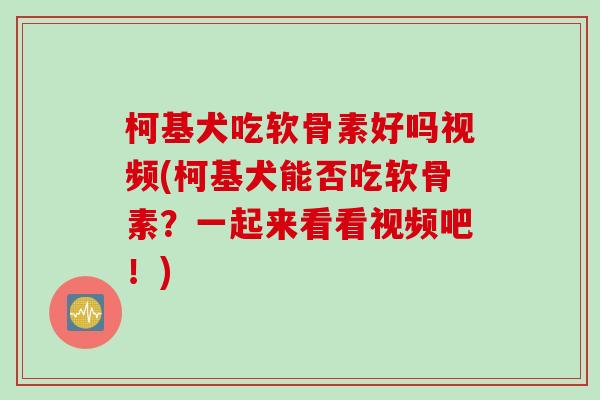 柯基犬吃软骨素好吗视频(柯基犬能否吃软骨素？一起来看看视频吧！)