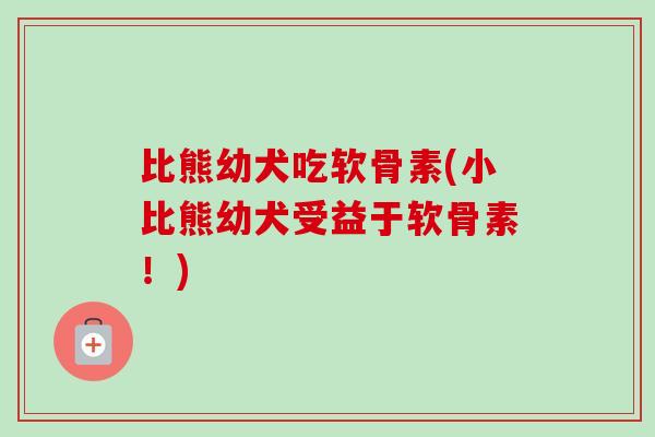 比熊幼犬吃软骨素(小比熊幼犬受益于软骨素！)