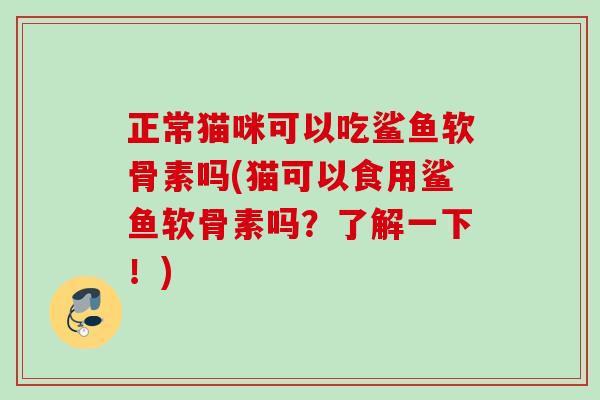 正常猫咪可以吃鲨鱼软骨素吗(猫可以食用鲨鱼软骨素吗？了解一下！)
