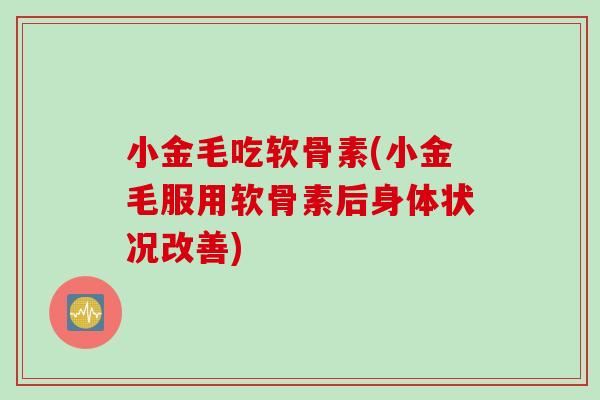 小金毛吃软骨素(小金毛服用软骨素后身体状况改善)