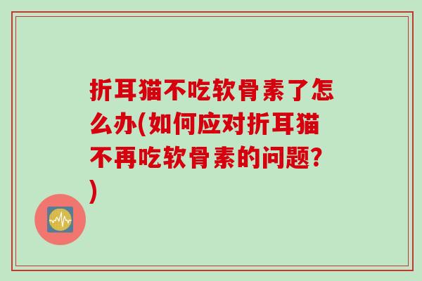 折耳猫不吃软骨素了怎么办(如何应对折耳猫不再吃软骨素的问题？)
