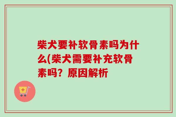 柴犬要补软骨素吗为什么(柴犬需要补充软骨素吗？原因解析