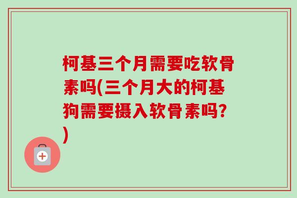 柯基三个月需要吃软骨素吗(三个月大的柯基狗需要摄入软骨素吗？)