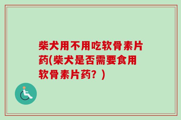 柴犬用不用吃软骨素片药(柴犬是否需要食用软骨素片药？)