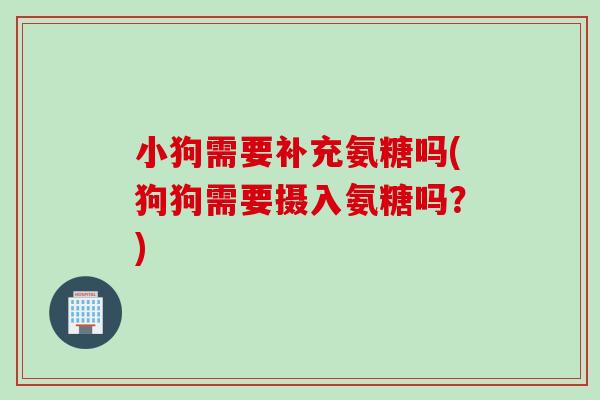 小狗需要补充氨糖吗(狗狗需要摄入氨糖吗？)