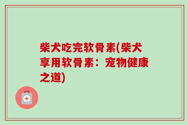 柴犬吃完软骨素(柴犬享用软骨素：宠物健康之道)
