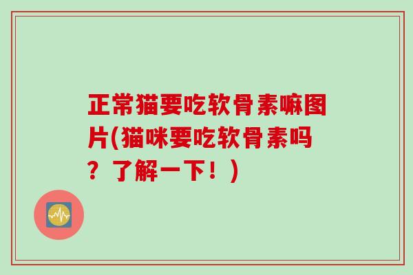正常猫要吃软骨素嘛图片(猫咪要吃软骨素吗？了解一下！)