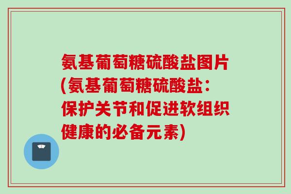 氨基葡萄糖硫酸盐图片(氨基葡萄糖硫酸盐：保护关节和促进软组织健康的必备元素)