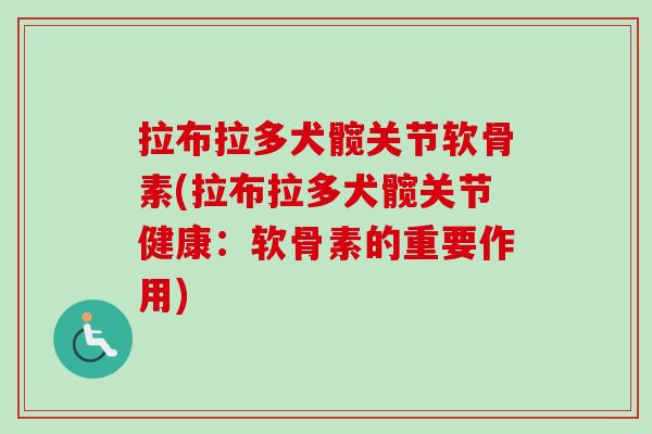 拉布拉多犬髋关节软骨素(拉布拉多犬髋关节健康：软骨素的重要作用)