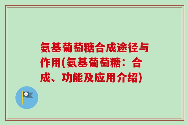 氨基葡萄糖合成途径与作用(氨基葡萄糖：合成、功能及应用介绍)