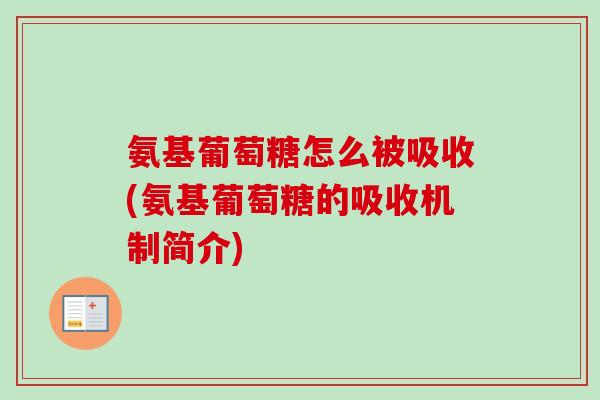 氨基葡萄糖怎么被吸收(氨基葡萄糖的吸收机制简介)