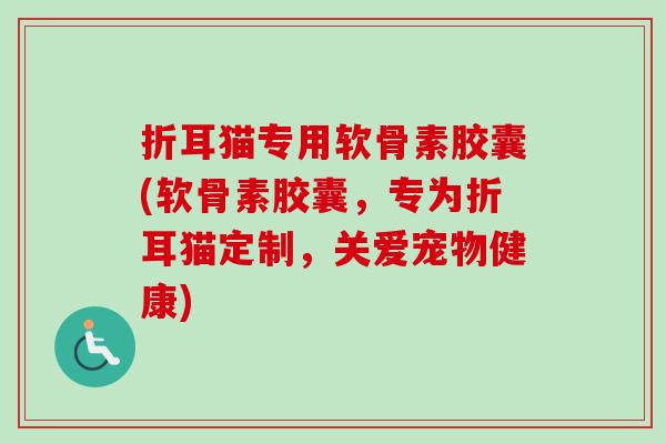 折耳猫专用软骨素胶囊(软骨素胶囊，专为折耳猫定制，关爱宠物健康)