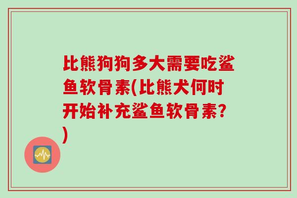 比熊狗狗多大需要吃鲨鱼软骨素(比熊犬何时开始补充鲨鱼软骨素？)