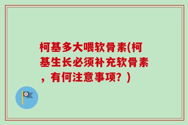 柯基多大喂软骨素(柯基生长必须补充软骨素，有何注意事项？)