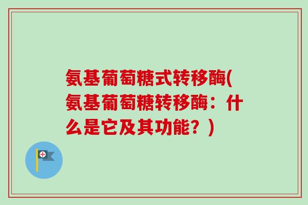氨基葡萄糖式转移酶(氨基葡萄糖转移酶：什么是它及其功能？)
