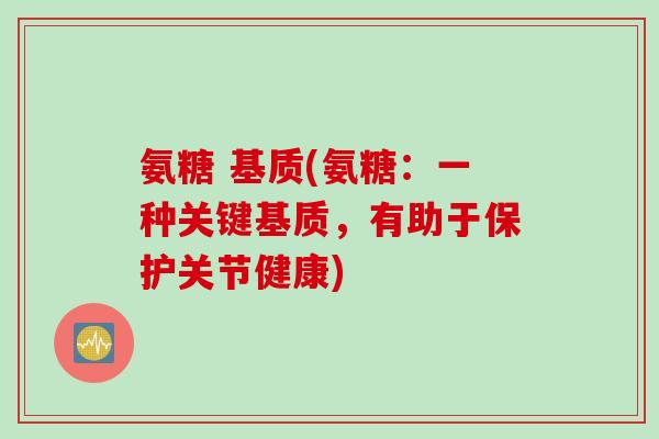 氨糖 基质(氨糖：一种关键基质，有助于保护关节健康)