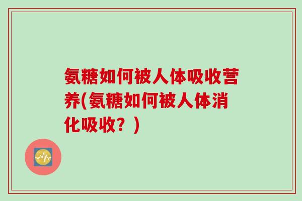 氨糖如何被人体吸收营养(氨糖如何被人体消化吸收？)
