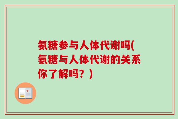 氨糖参与人体代谢吗(氨糖与人体代谢的关系你了解吗？)