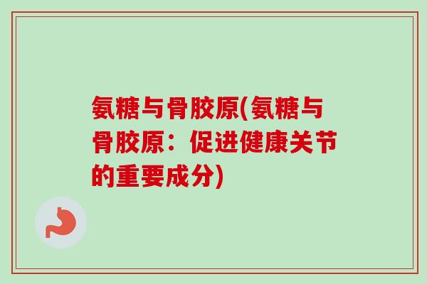 氨糖与骨胶原(氨糖与骨胶原：促进健康关节的重要成分)
