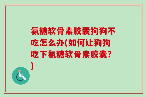 氨糖软骨素胶囊狗狗不吃怎么办(如何让狗狗吃下氨糖软骨素胶囊?) 氨糖软骨素胶囊狗狗不吃怎么办(如何让狗狗吃下氨糖软骨素胶囊?)