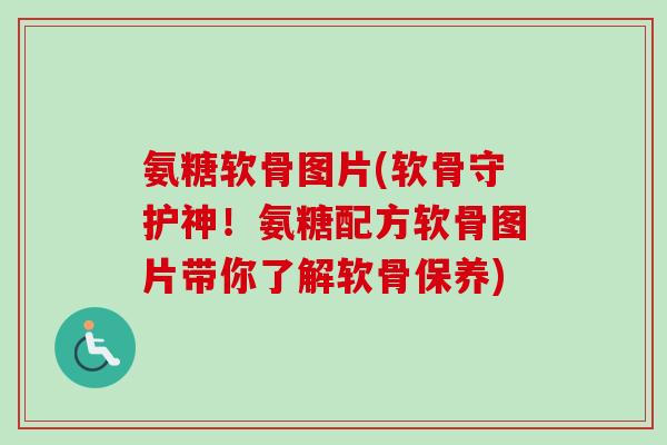 氨糖软骨图片(软骨守护神！氨糖配方软骨图片带你了解软骨保养)