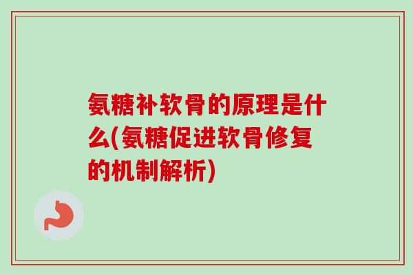氨糖补软骨的原理是什么(氨糖促进软骨修复的机制解析) 氨糖补软骨的原理是什么(氨糖促进软骨修复的机制解析)