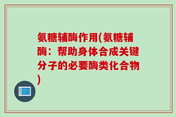 氨糖辅酶作用(氨糖辅酶：帮助身体合成关键分子的必要酶类化合物)