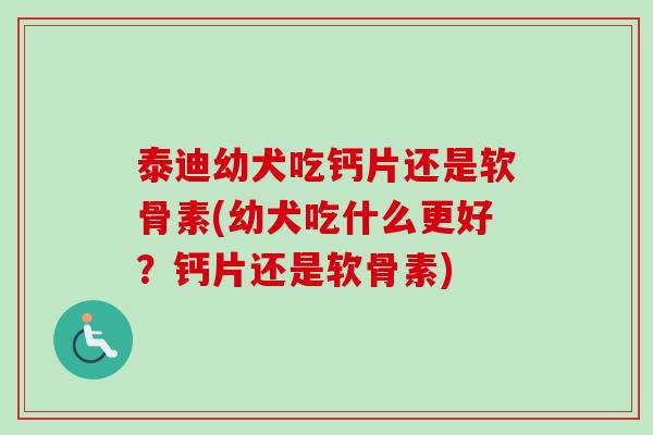 泰迪幼犬吃钙片还是软骨素(幼犬吃什么更好？钙片还是软骨素)