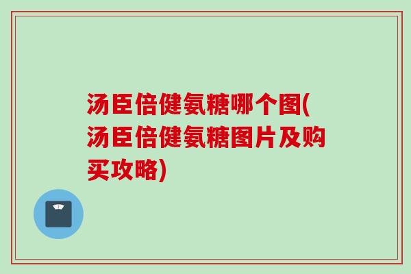 汤臣倍健氨糖哪个图(汤臣倍健氨糖图片及购买攻略)