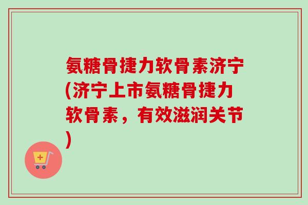 氨糖骨捷力软骨素济宁(济宁上市氨糖骨捷力软骨素，有效滋润关节)