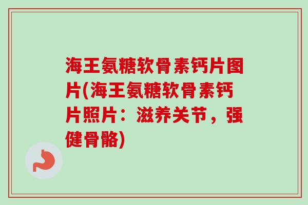海王氨糖软骨素钙片图片(海王氨糖软骨素钙片照片：滋养关节，强健骨骼)