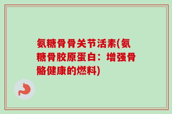 氨糖骨骨关节活素(氨糖骨胶原蛋白：增强骨骼健康的燃料)