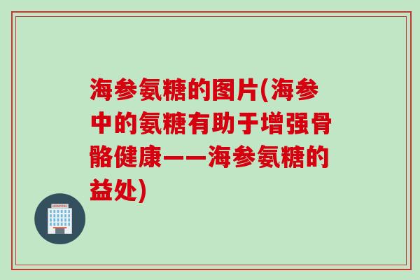 海参氨糖的图片(海参中的氨糖有助于增强骨骼健康——海参氨糖的益处)