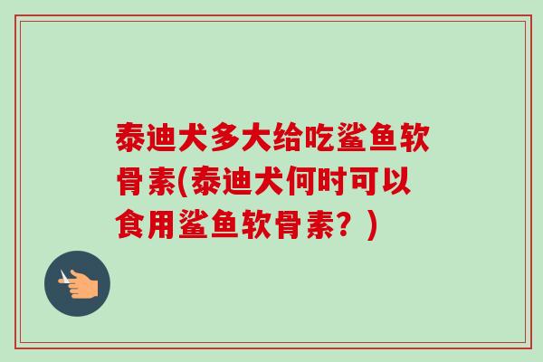 泰迪犬多大给吃鲨鱼软骨素(泰迪犬何时可以食用鲨鱼软骨素？)