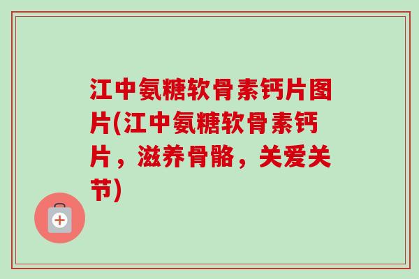 江中氨糖软骨素钙片图片(江中氨糖软骨素钙片，滋养骨骼，关爱关节)