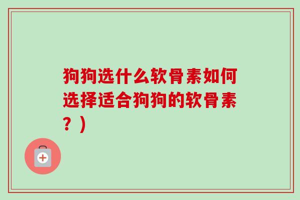 狗狗选什么软骨素如何选择适合狗狗的软骨素？)